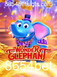 Explorando WonderElephant: Um Mergulho no Universo do Jogo